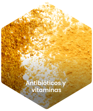 Antibioticos y vitaminas