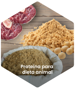 Proteina para dieta animal