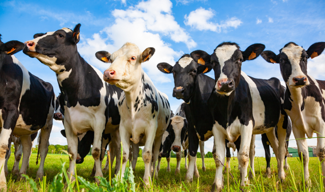 products_page.products.titles.5